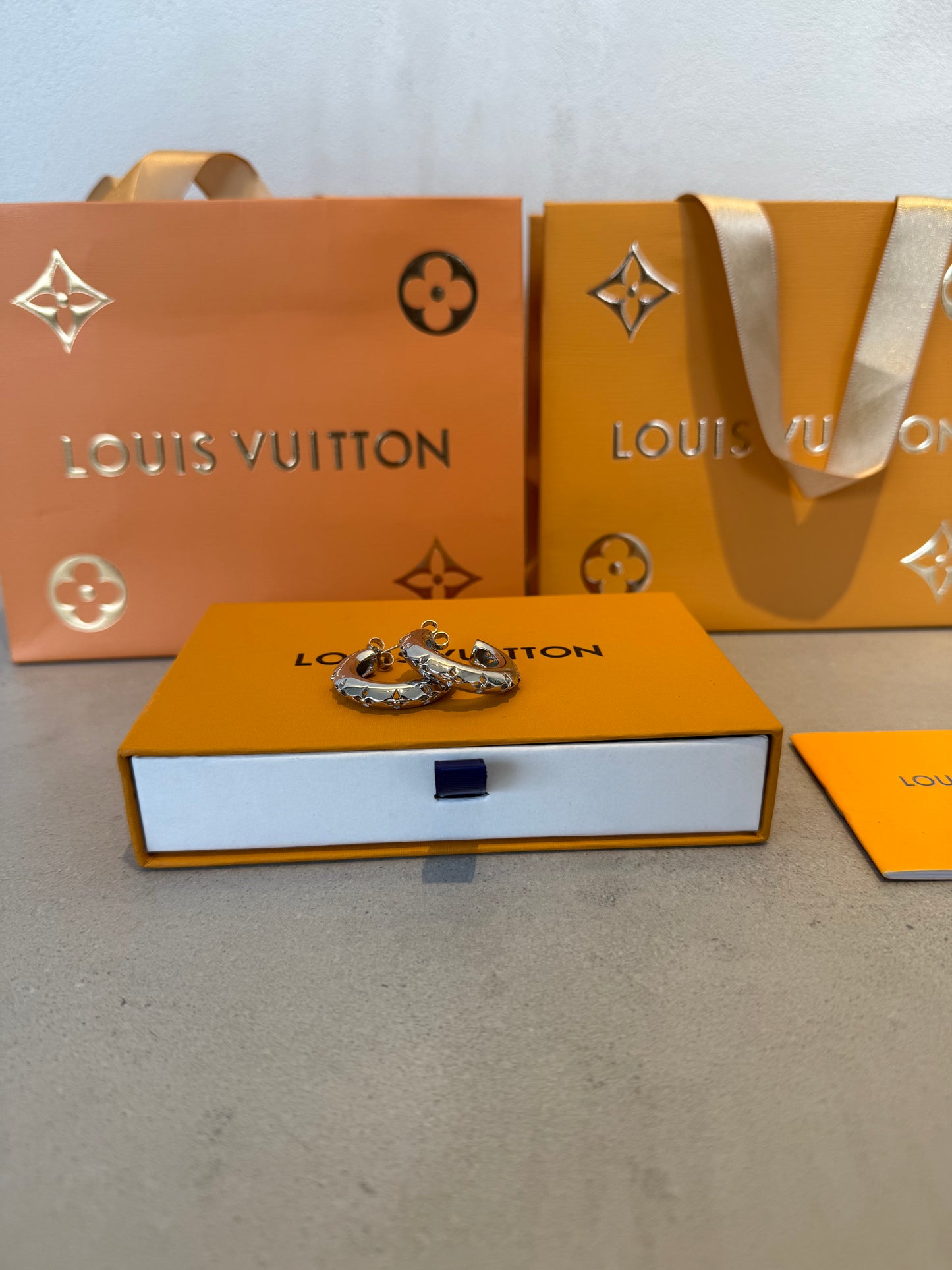 Arete LV Redondo plateado