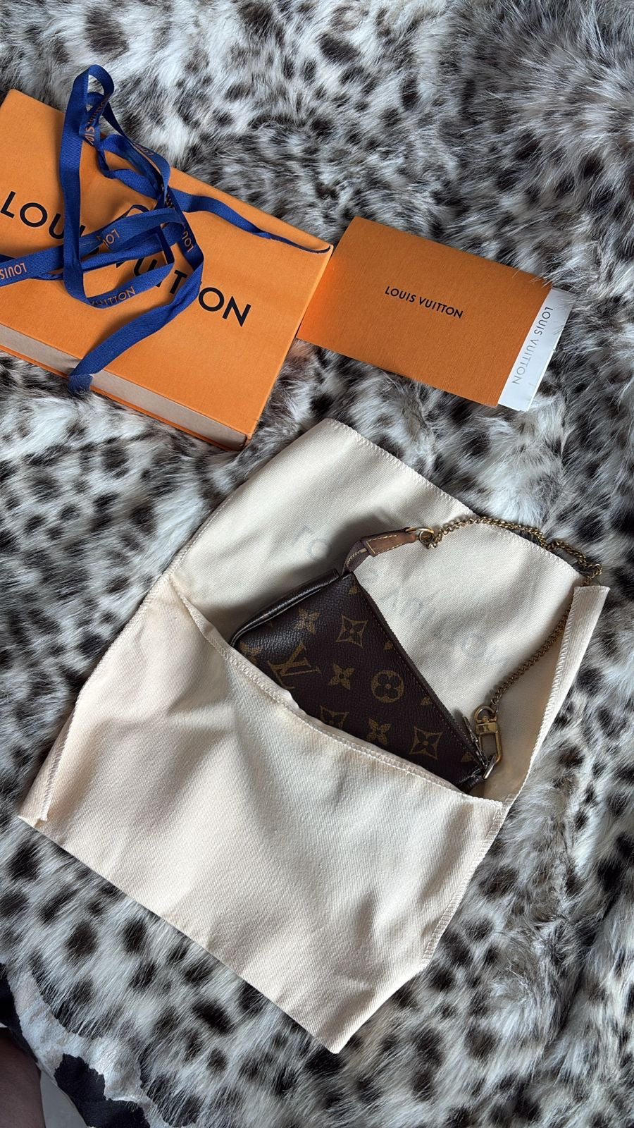 Bolso Pre-Loved mini pochette.