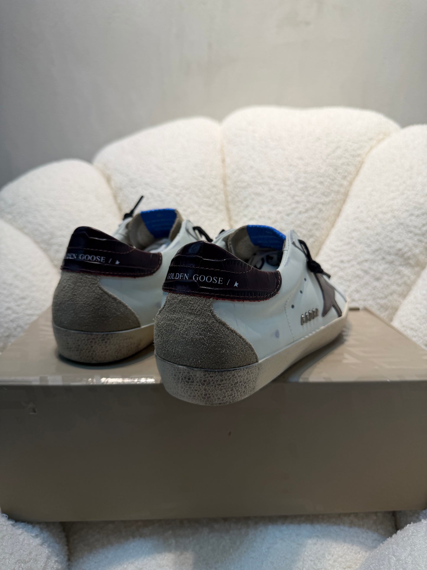 ZPT GOLDEN GOOSE vino - 5611