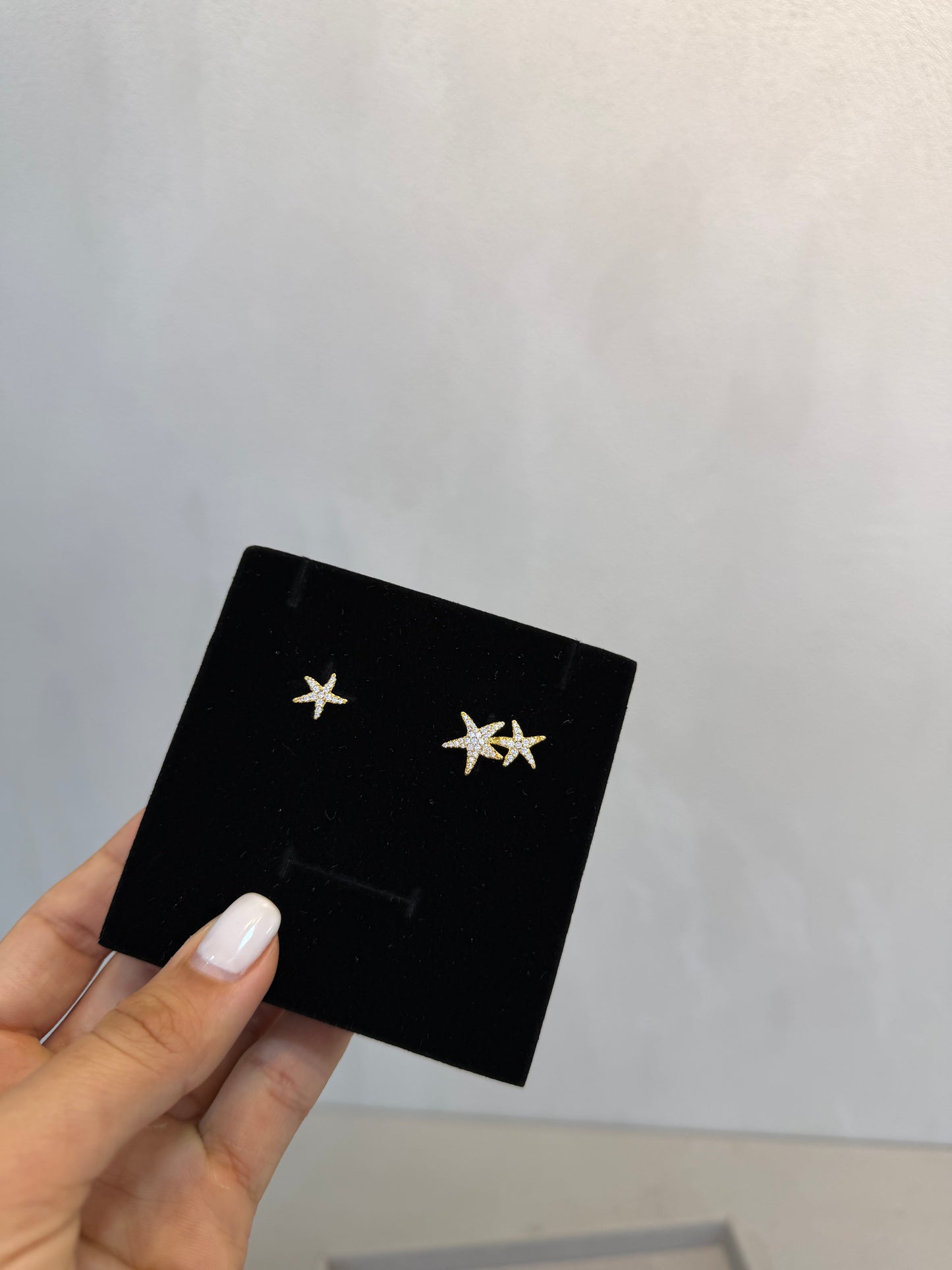 Aretes APM -5356