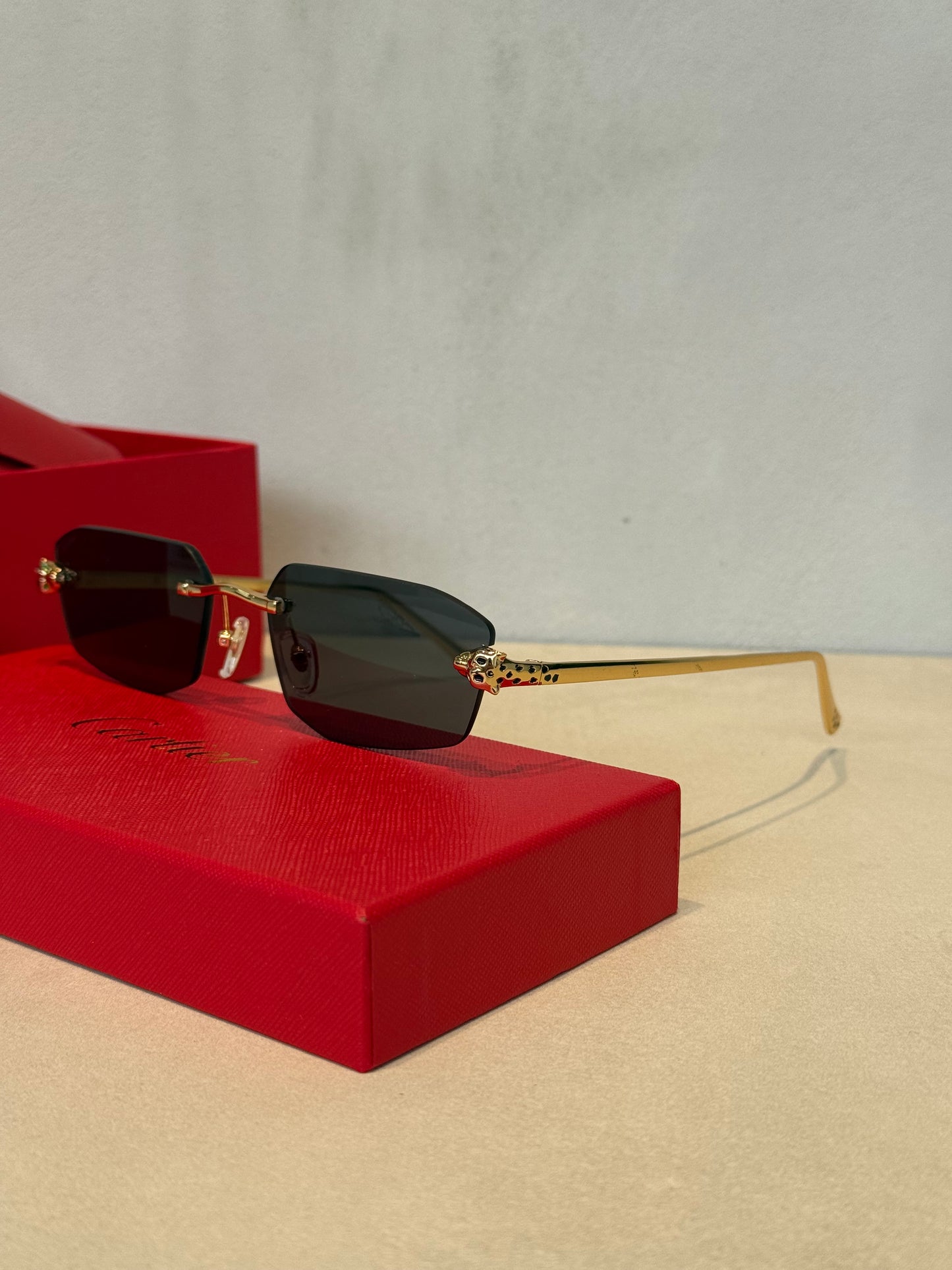 Gafas de Sol CRT Panther Grey - 5501