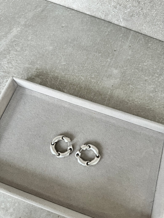 Aretes BLENCIG circulares plateados
