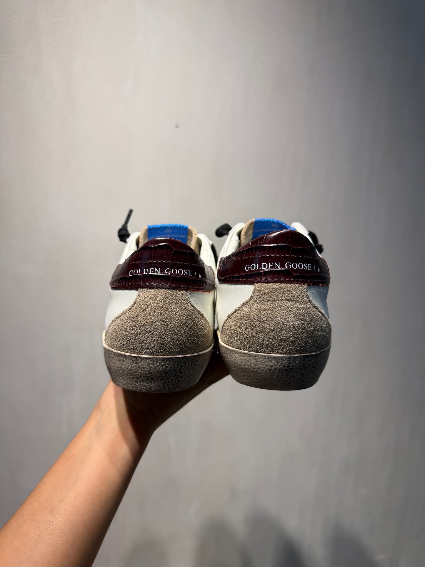 ZPT GOLDEN GOOSE vino - 5611