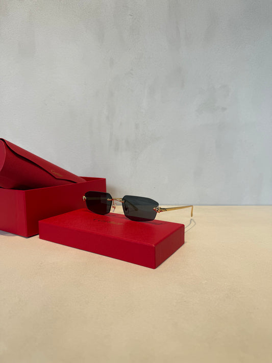 Gafas de Sol CRT Panther Grey - 5501