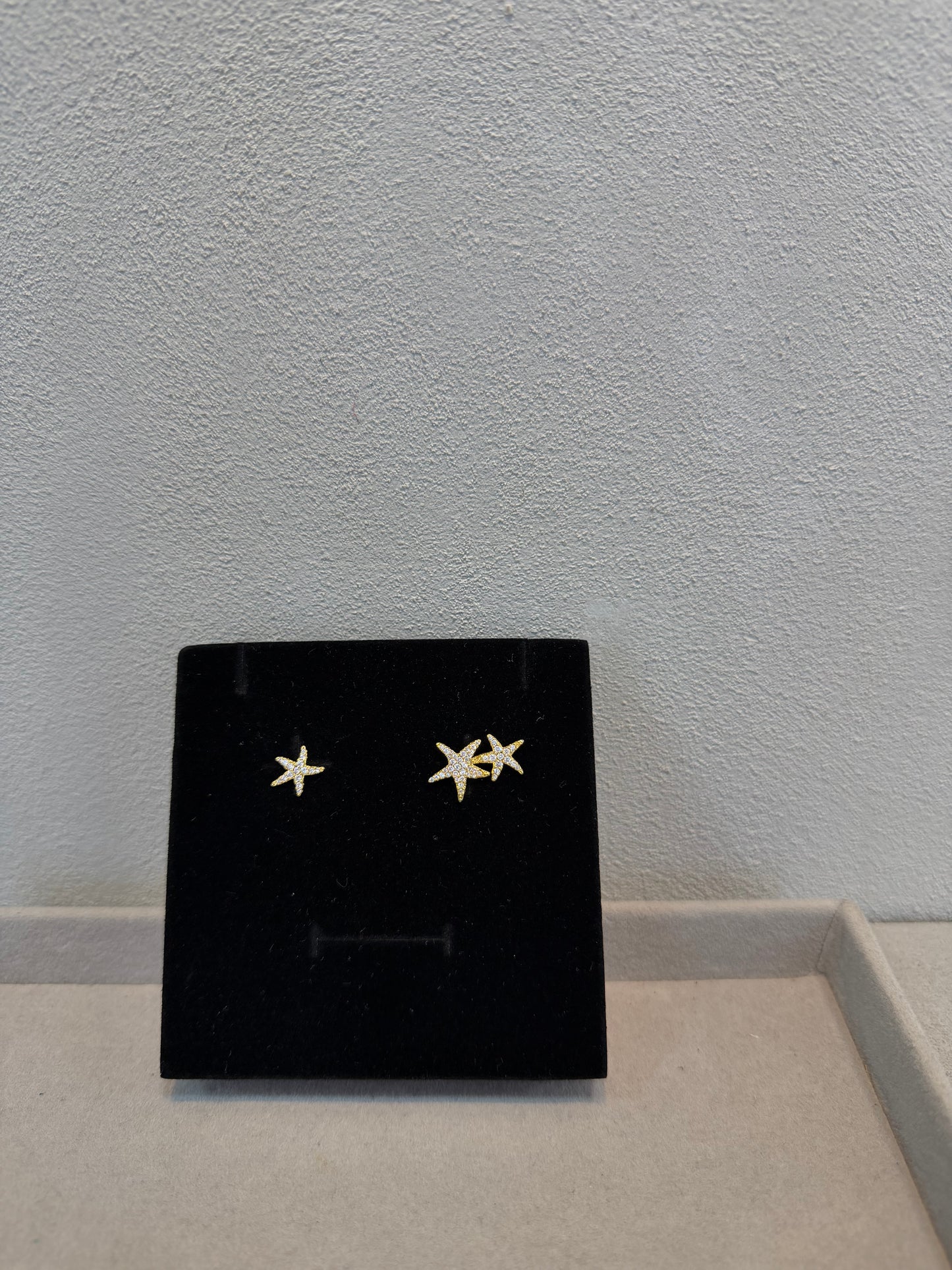 Aretes APM -5356