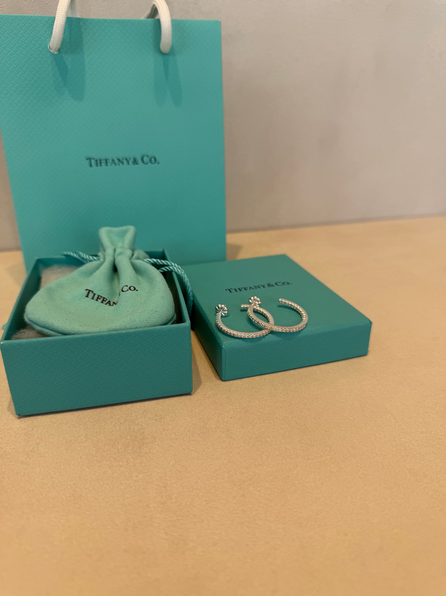 Aretes TIF plateados