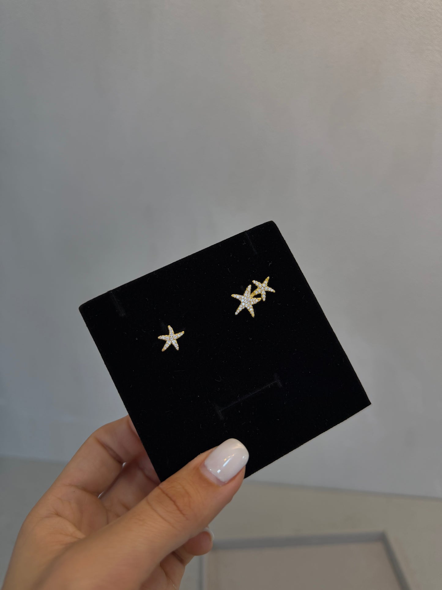 Aretes APM -5356
