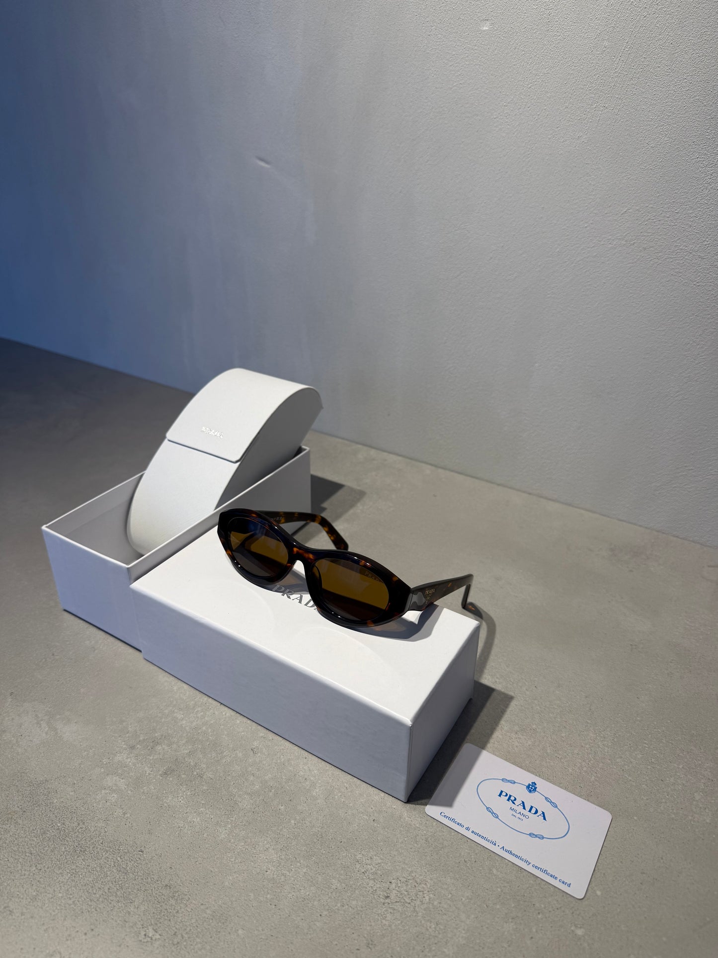 Gafas de Sol PR tortoise - 5598