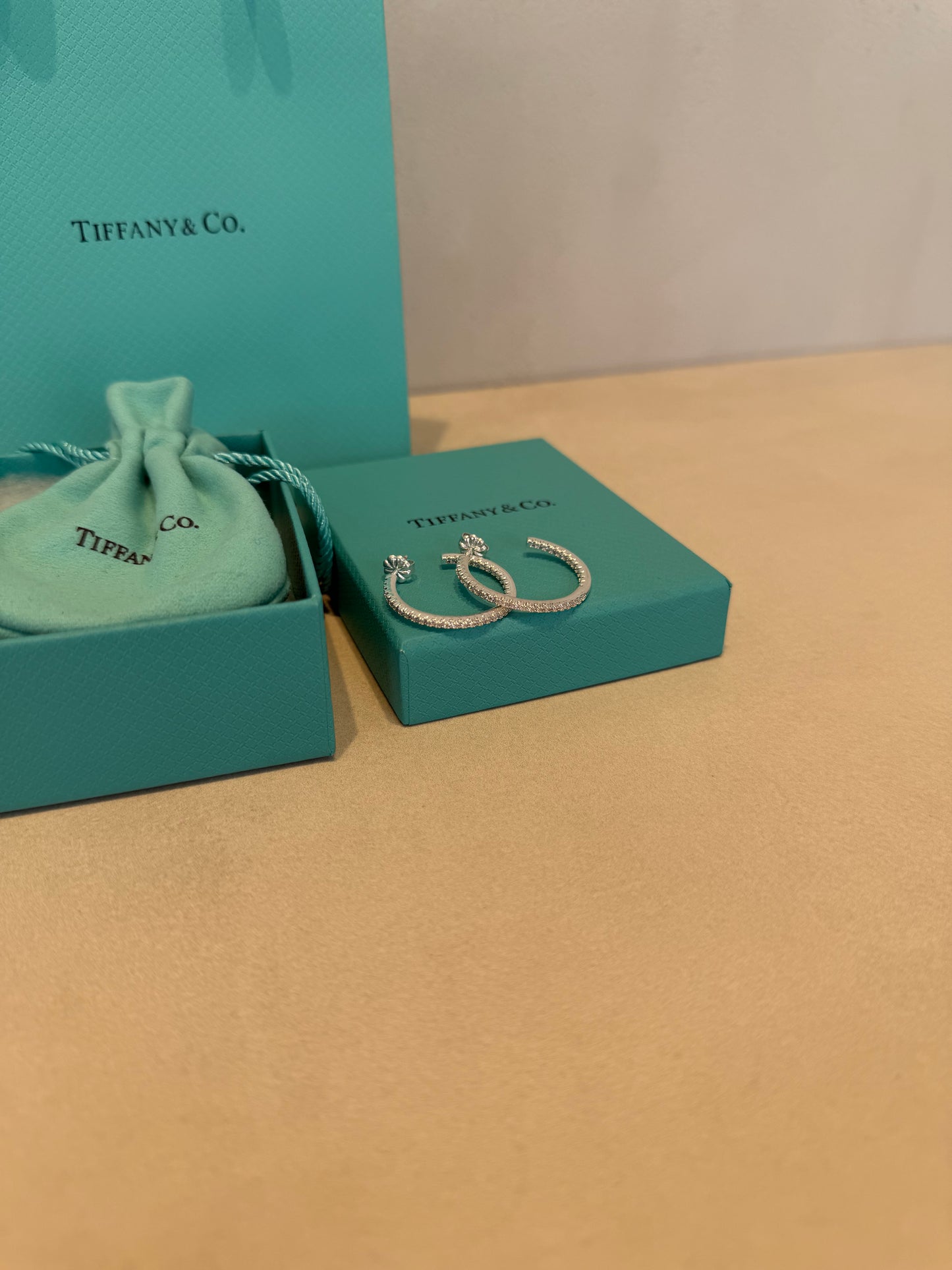 Aretes TIF plateados