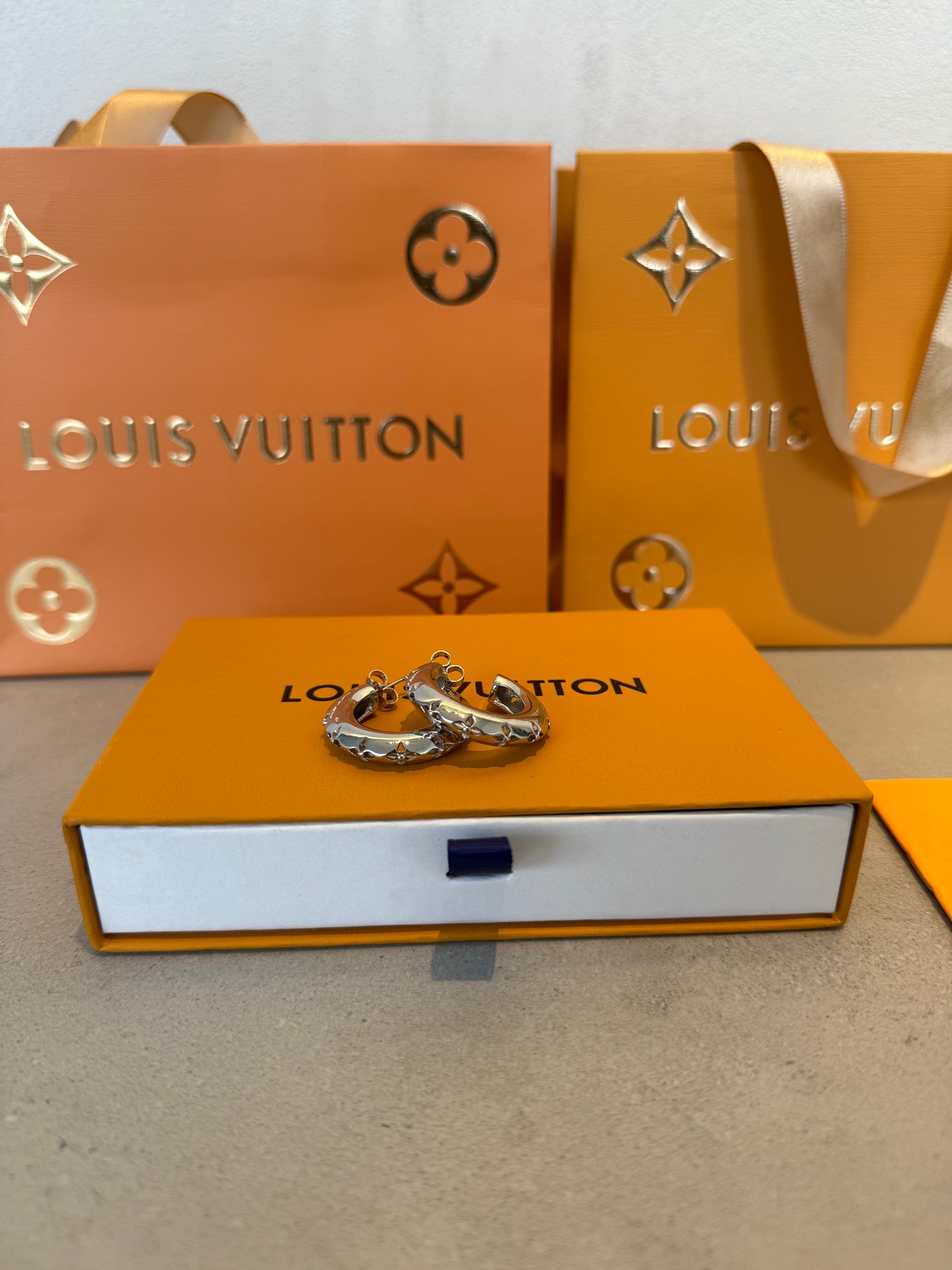 Arete LV Redondo plateado