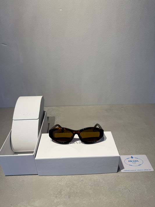 Gafas de Sol PR tortoise - 5598