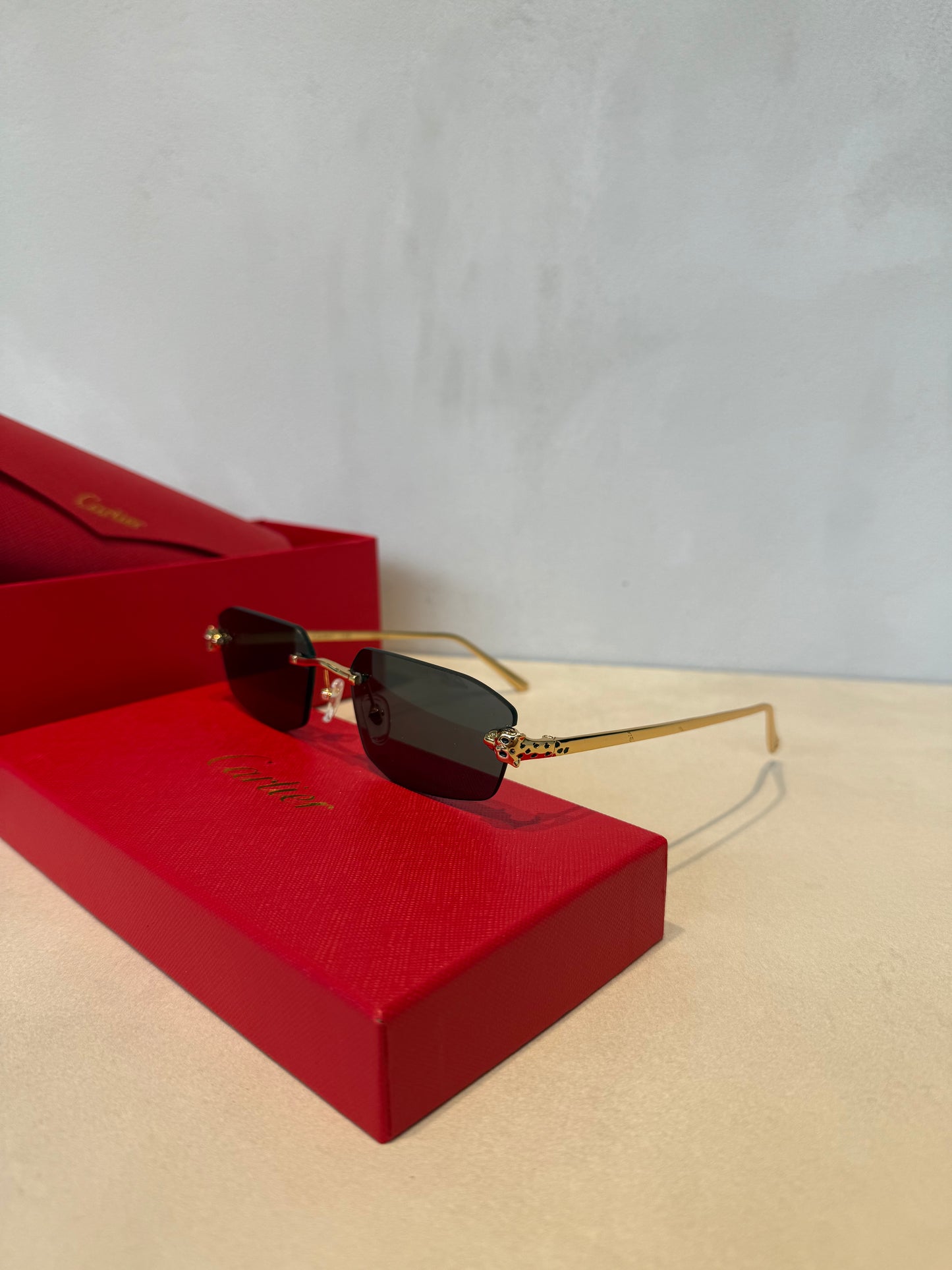 Gafas de Sol CRT Panther Grey - 5501