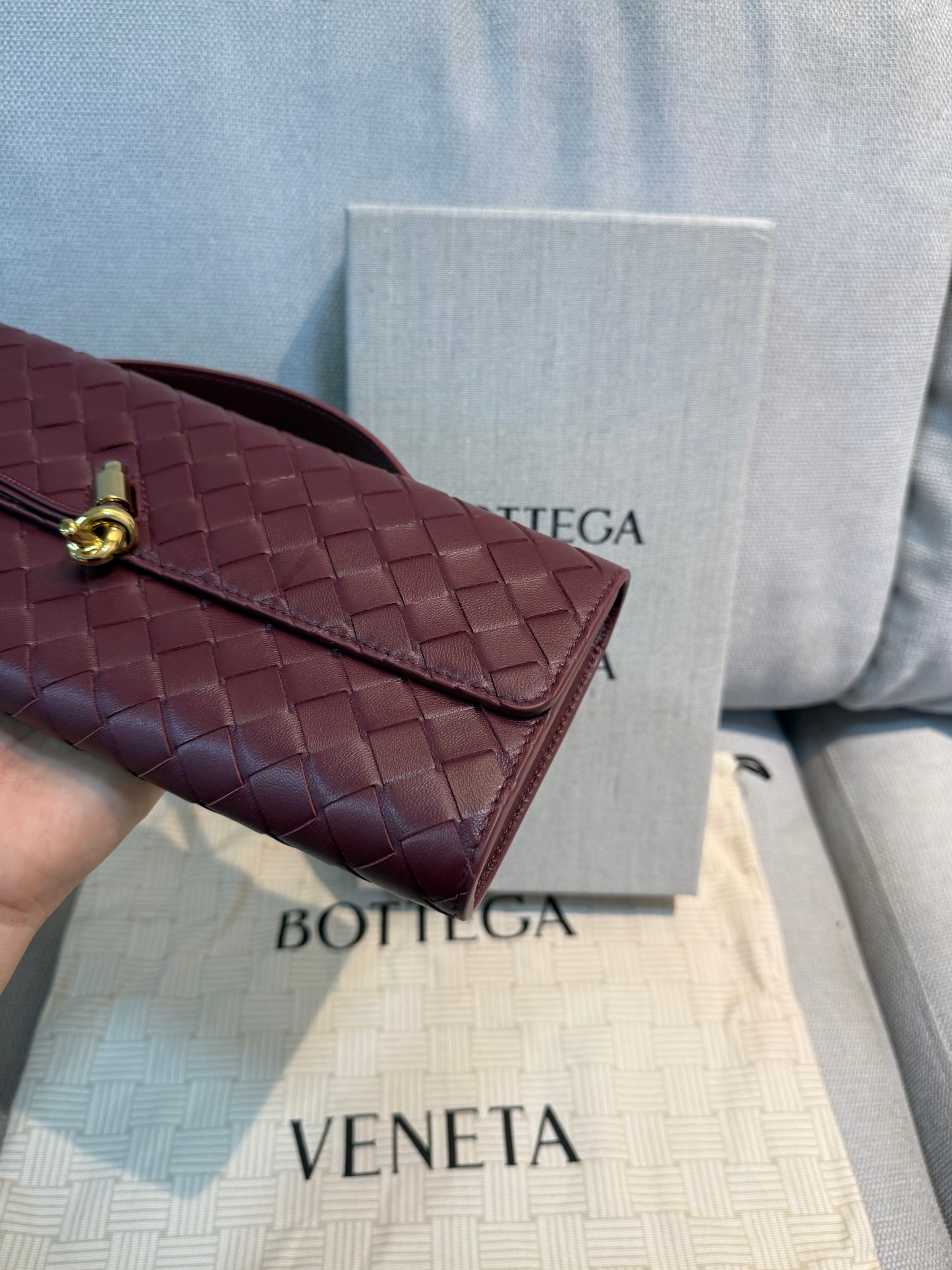 Bottega Venneta Burgundy Bag