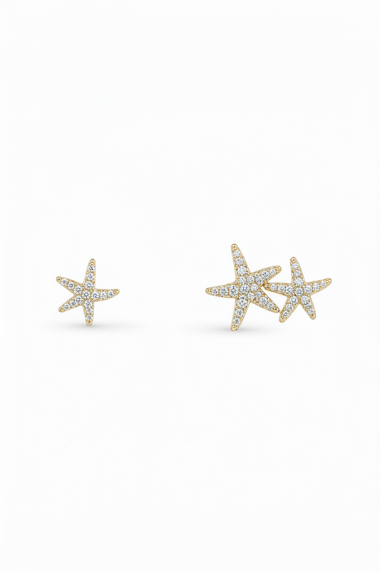 Aretes APM -5356